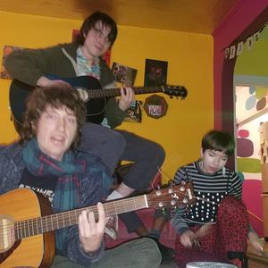 The Moogs